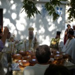 apolixnos09 (3)
