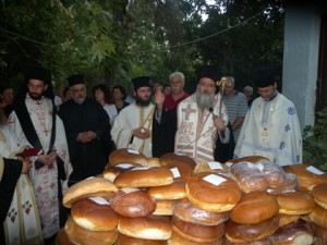 apolix_14 (6)