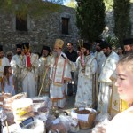 valsamonero_13 (10)