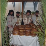 ag_parask_14 (2)
