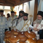 ag_parask_14 (3)