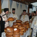 ag_parask_14 (4)