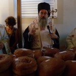 ag_paraskev_mires_12 (2)