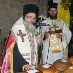 ag_pnev_timp_15 (11)