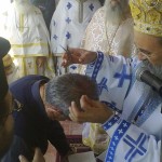ag_pnevma_10 (3)