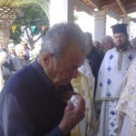 ag_pnevma_10 (4)