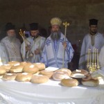 ag_pnevma_10 (5)