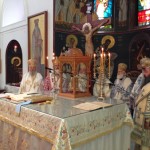 ag_titou_13 (5)