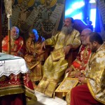 ag_varvaras_11 (11)