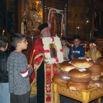 ag_varvaras_11 (5)