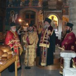 ag_varvaras_11 (6)