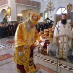 agnektariou09 (14)