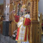 agnektariou09 (15)