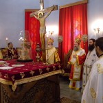 agnektariou09 (19)