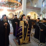 agnektariou09 (5)