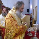 agnektariou09 (7)