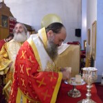agnektariou09 (8)
