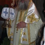 apezanes_xirotonia_georgiou_2011 (11)