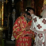 apezanes_xirotonia_georgiou_2011 (15)