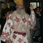 apezanes_xirotonia_georgiou_2011 (18)