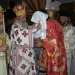 apezanes_xirotonia_georgiou_2011 (4)