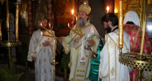 apezanes_xirotonia_georgiou_2011 (7)