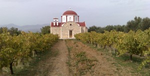 dion_ag_zon