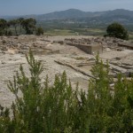 festos_13 (2)