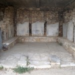 festos_ag_triada (1)