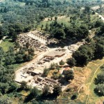 festos_ag_triada (3)