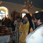 gergeri3.11.2009 (5)