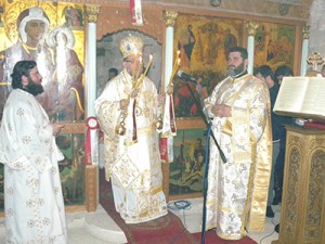 gergeri_neomart (19)