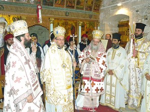 gergeri_neomart (32)