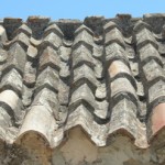 gorgoipikoos_11 (32)