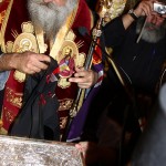 koura_porfir_15 (8)