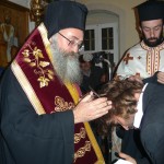 ligortinos_9.2_2012 (7)