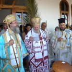 nivr_12 (3)