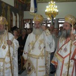 nivritos_11 (1)
