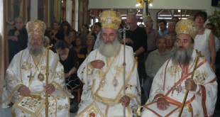 nivritos_11 (2)