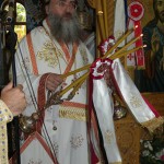 nivritos_11 (5)