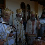 nivritos_11 (7)
