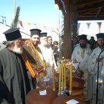 nivritos_11 (9)