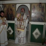 paliama_14 (3)