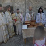 paliama_14 (5)
