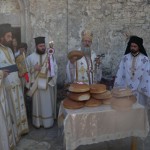 paliama_14 (7)