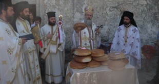 paliama_14 (7)