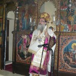 petrokef_ag_pnev_15 (3)