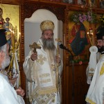 petrokefali_engen_11 (2)