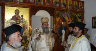 petrokefali_engen_11 (3)