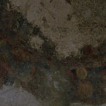 pirouniana_11 (1)